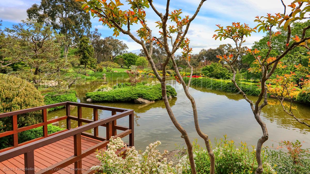 Peter Bellingham Photography Japanese Garden - Cowra